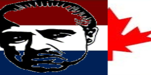 doncuomo avatar