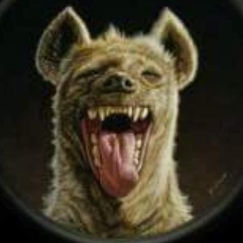Jackylz avatar