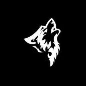 Krasz3r avatar