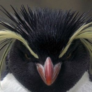 LubiueKebaby