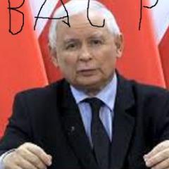_aimkaczka_ avatar