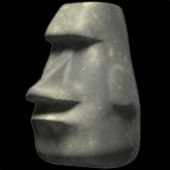 team_Dzica_4