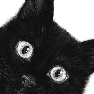 MAE_MAE_13