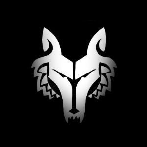 Faceit Avatar