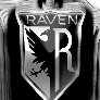 N1ghtRaven avatar