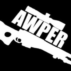 BepTyxan_AWP avatar