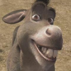 Real_Donkey avatar