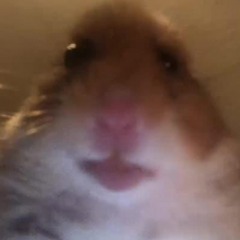 HamjaKing