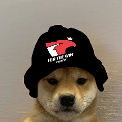 PGjj