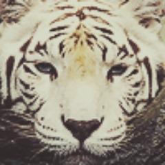 gho1st avatar