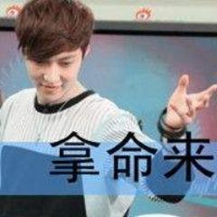 Player LIC-XIYE avatar