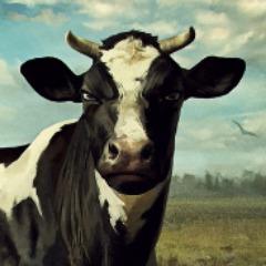 LajfiQ avatar