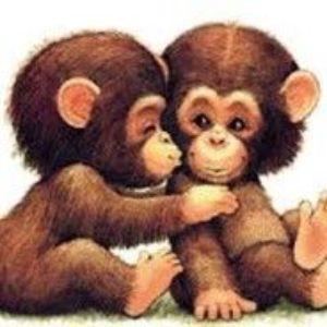 Troll-o_o avatar