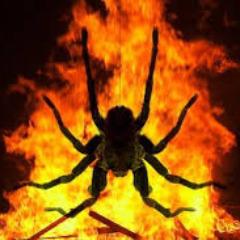 spiderfate avatar