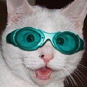 COTADURA avatar