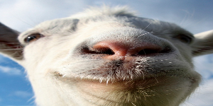 Krubel7 avatar