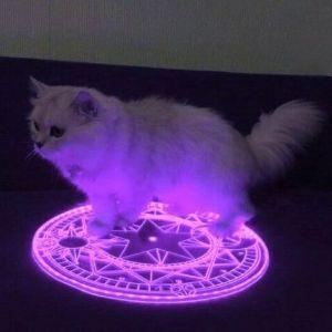 ivnu4ek avatar