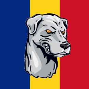 AntoDan4 avatar