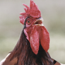 viact-