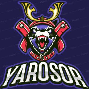 YAROSOR_ avatar