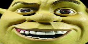 Wangq2 avatar