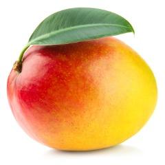Mangozila avatar