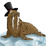 FancyWalrus FACEIT avatar