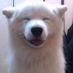 CptDavenport avatar