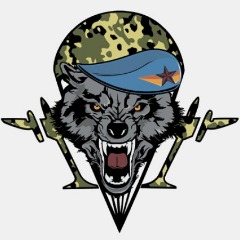 45 Полк Спецназа Вдв Фото