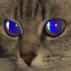 vetlugin616 avatar