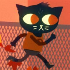 Player LteKa avatar