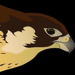 hawka_cs avatar