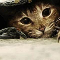tiGRis13 avatar