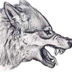 Nick5852 avatar