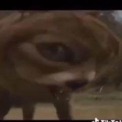 1ndivid