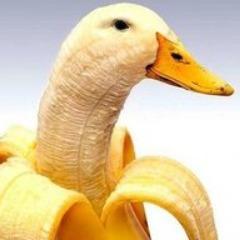 Goose_2232 avatar