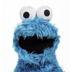 viegaSPT avatar