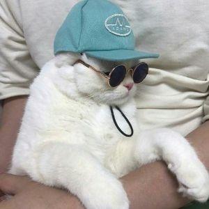 Player Tydde avatar