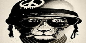 team_Chrisrap