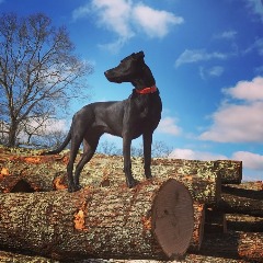 KerfDog