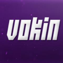 v0kin avatar