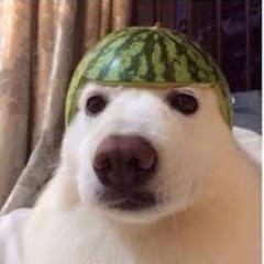 R_KreaN avatar