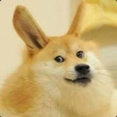 SanicEXE