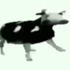 roun47 avatar