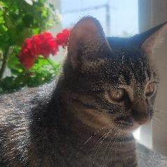 __QUAZAR__ avatar
