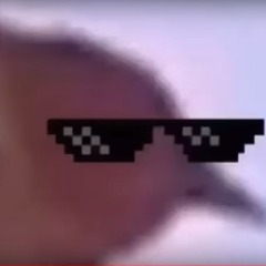 fofan_go