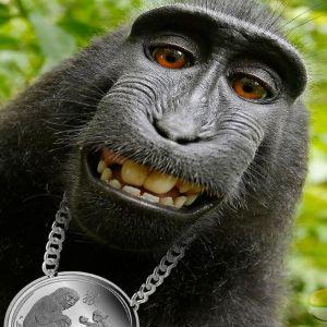 GHOTR avatar