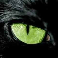 rass1o avatar