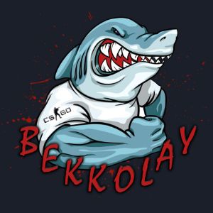 Bekkolayy