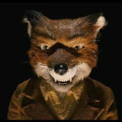 tozimaru avatar